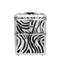 Aluminum Makeup Beauty Case for Cosmetic (HB-3223)